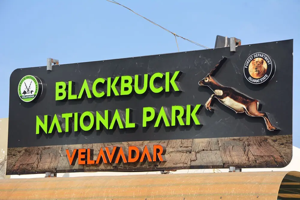 Blackbuck National Park, Velavadar