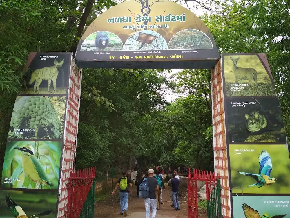 Ratanmahal Sloth Bear Sanctuary