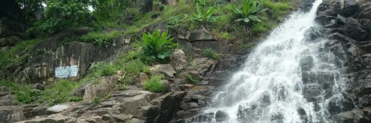 Ratanmahal Sloth Bear Sanctuary