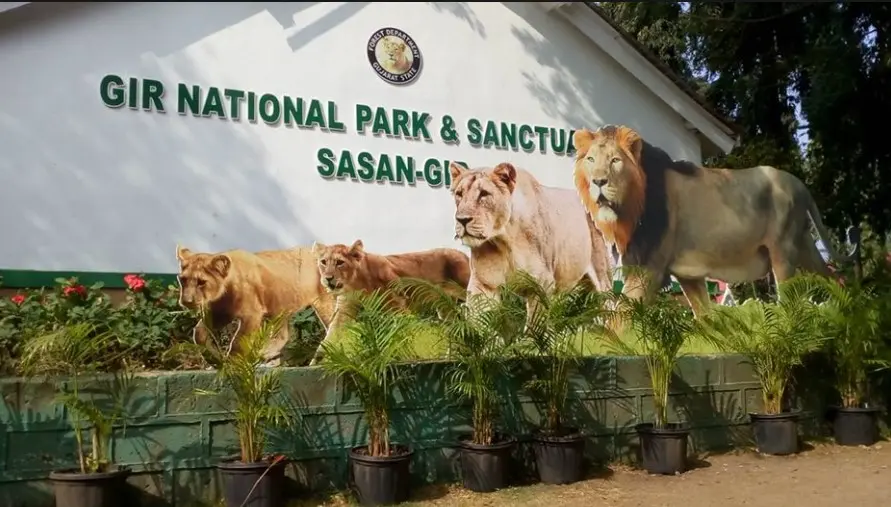 Gir Interpretation Zone (Devaliya Park)
