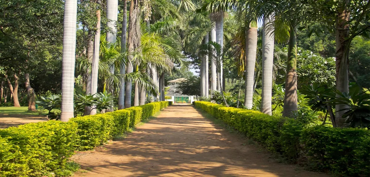 Indroda Nature Park