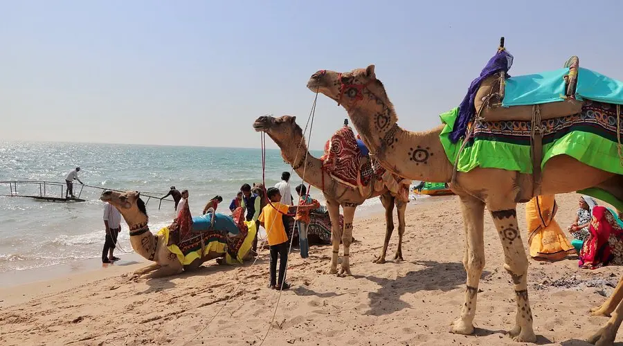 Mandvi Beach