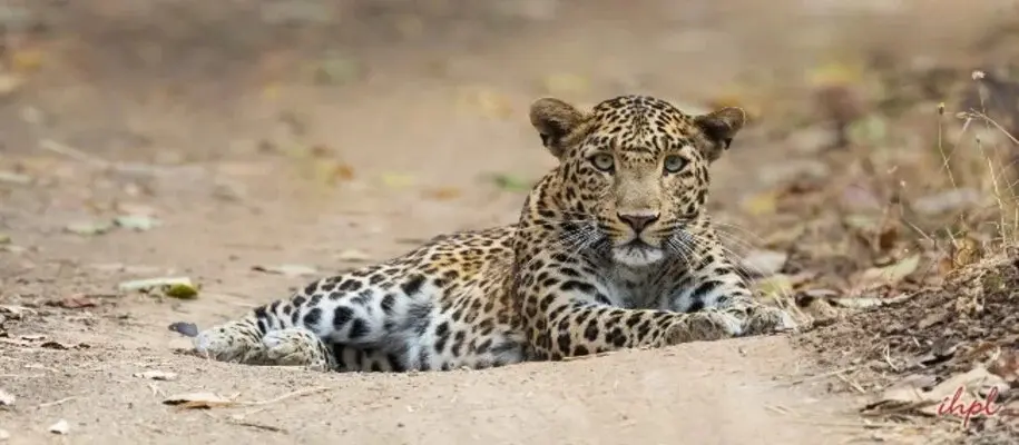 Shoolpaneshwar Wildlife Sanctuary