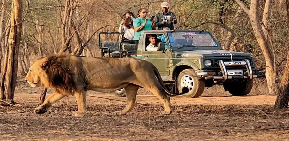 Gir National Park