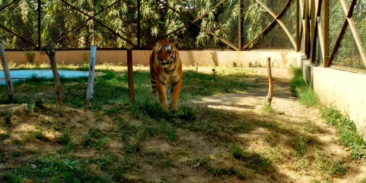 Sarthana Nature Park & Zoo