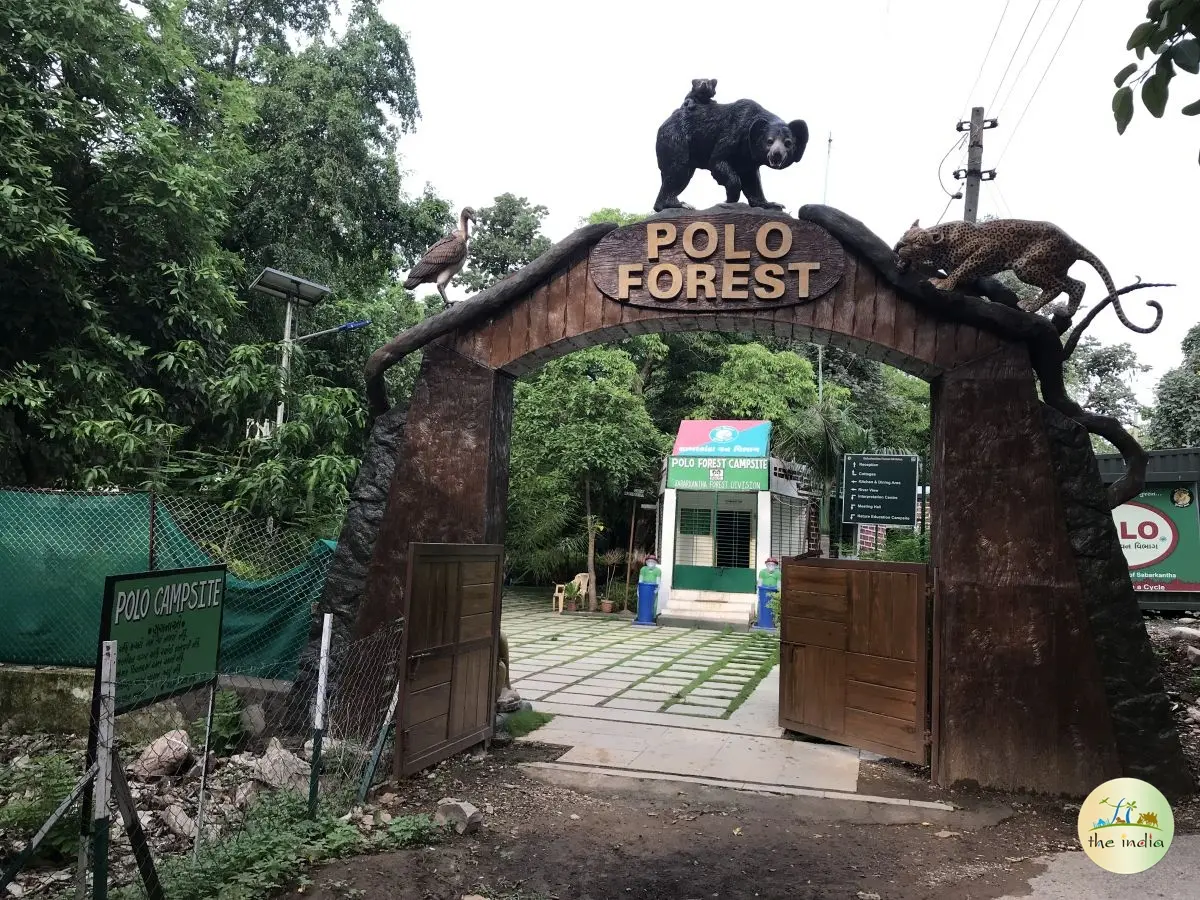 Polo Forest