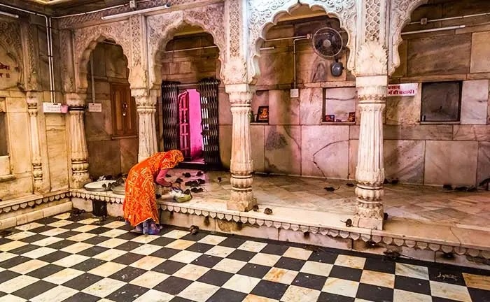 Karni Mata Temple