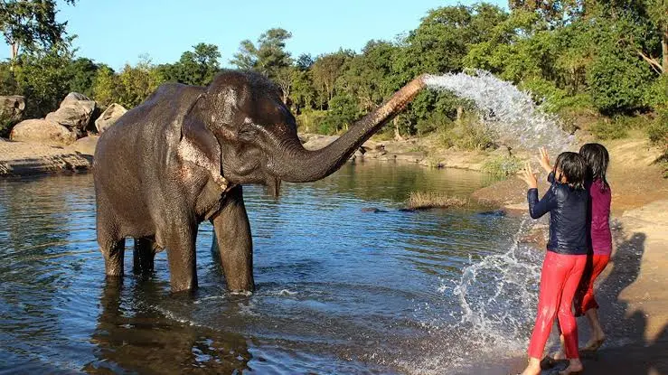 Elefantastic Elephant Sanctuary
