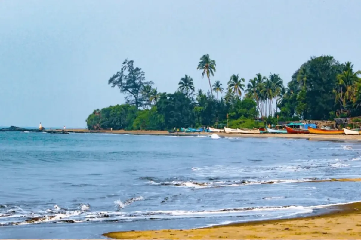Morjim Turtle Nesting Beach