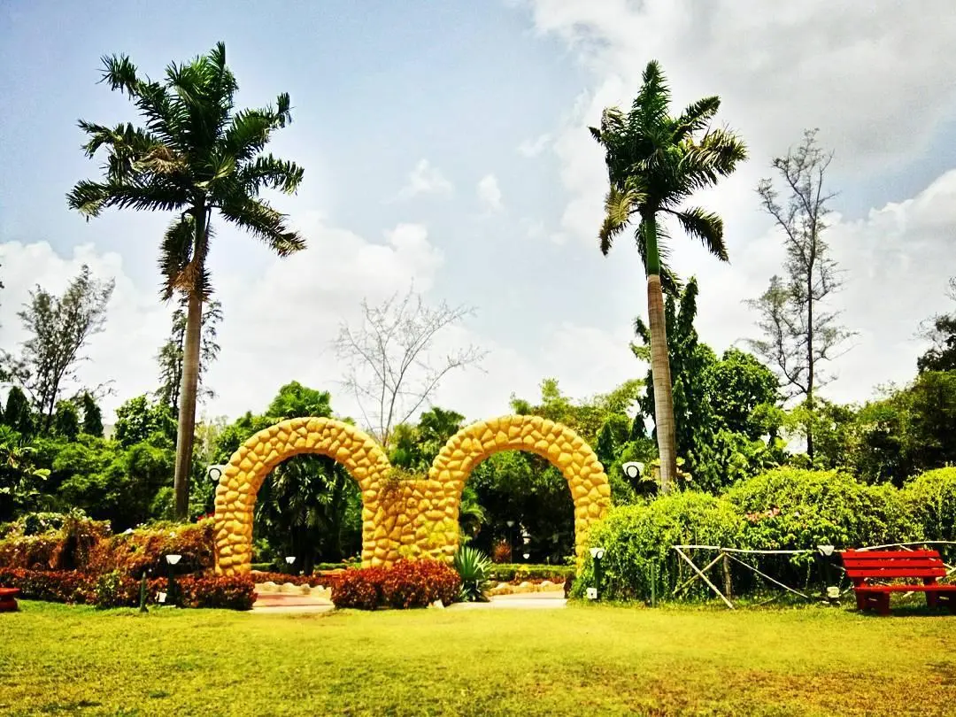 Hirwa Van Garden