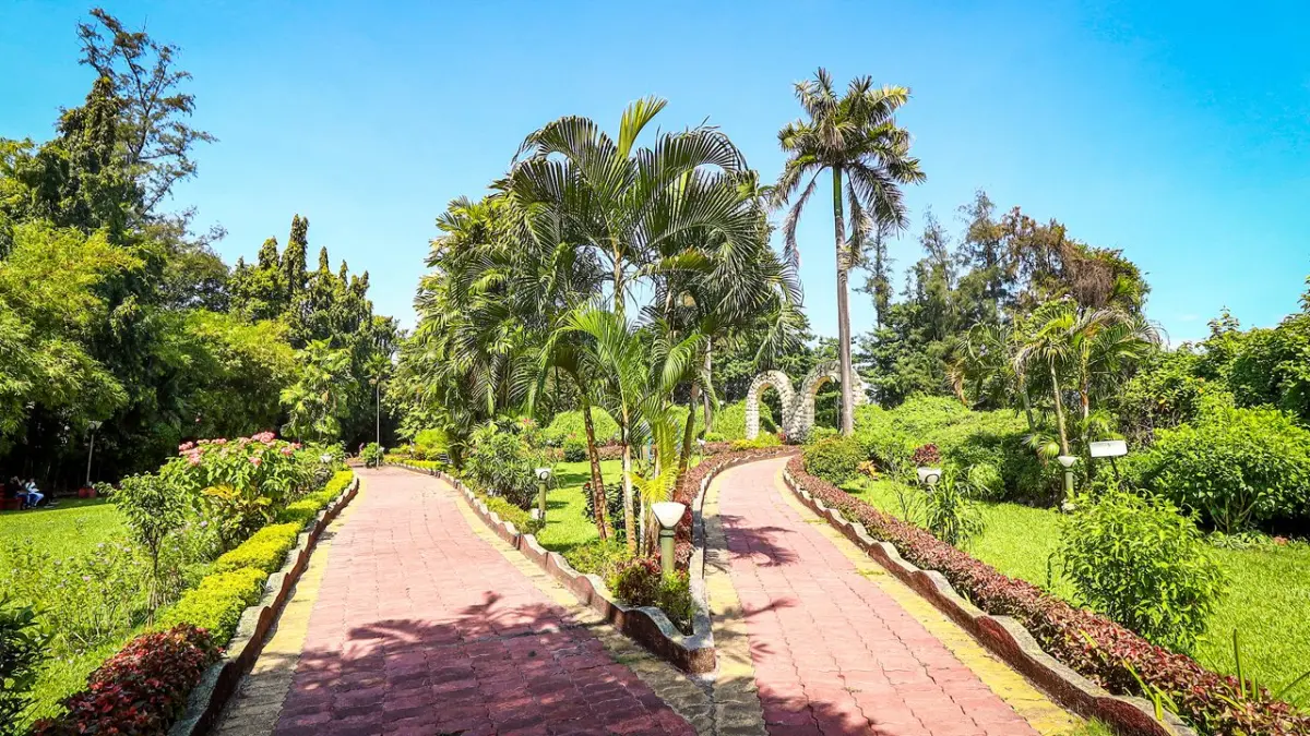 Hirwa Van Garden