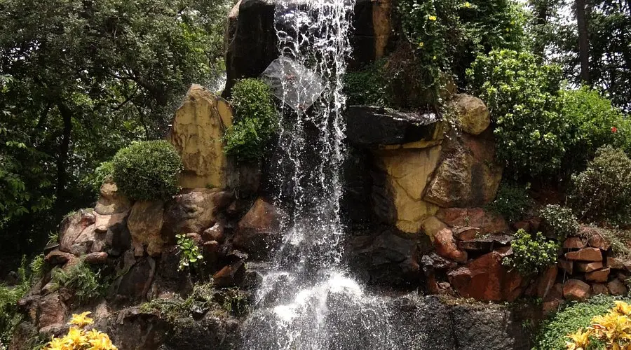 Hirwa Van Garden