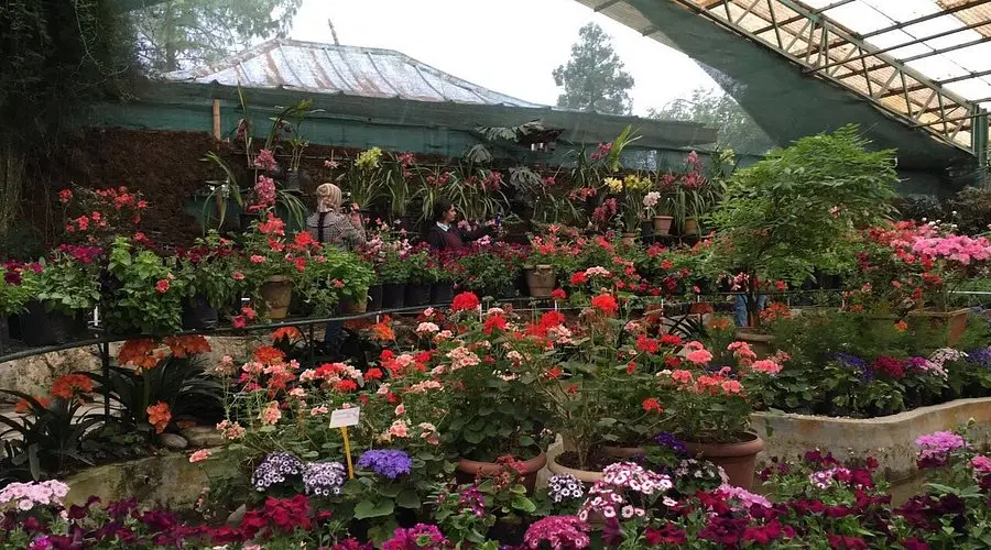 Flower Exhibition Centre (White Hall)