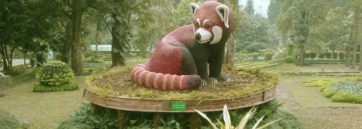 Saramsa Garden