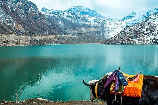 Tsomgo (Changu) Lake