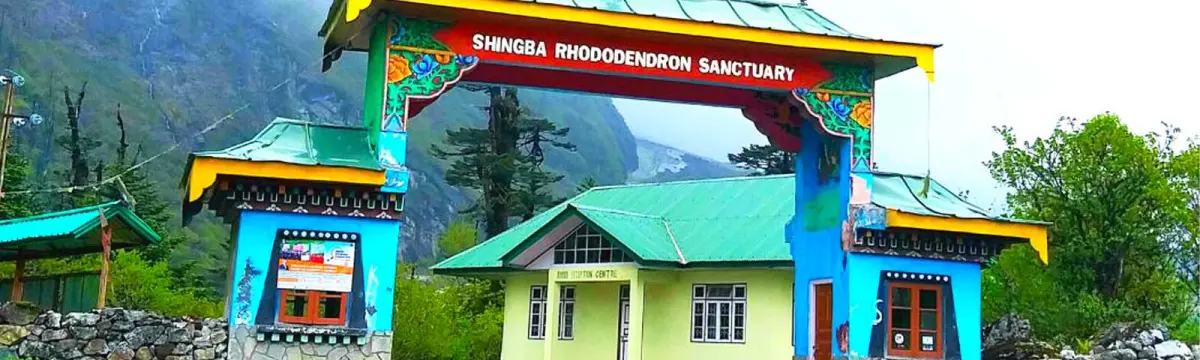 Shingba Rhododendron Sanctuary