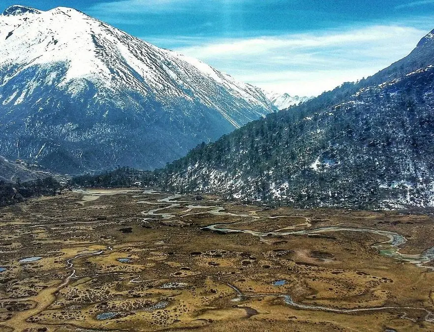 Chopta Valley (North Sikkim)