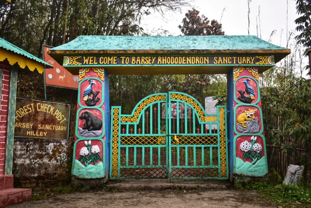 Barsey Rhododendron Sanctuary