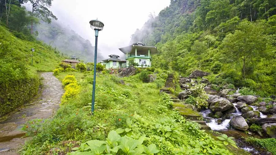 Kaluk