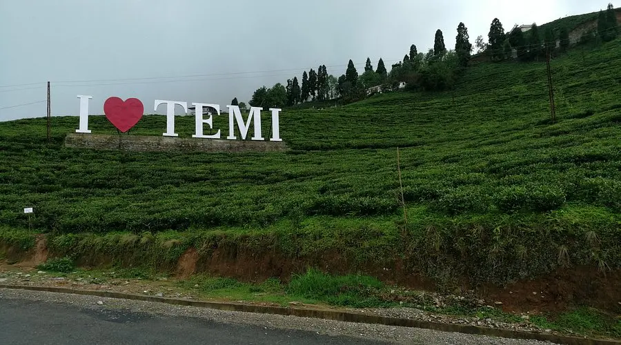 Temi Tea Garden