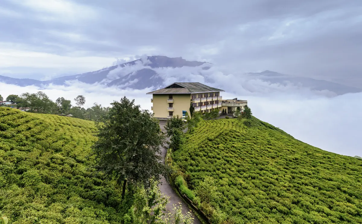 Temi Tea Garden