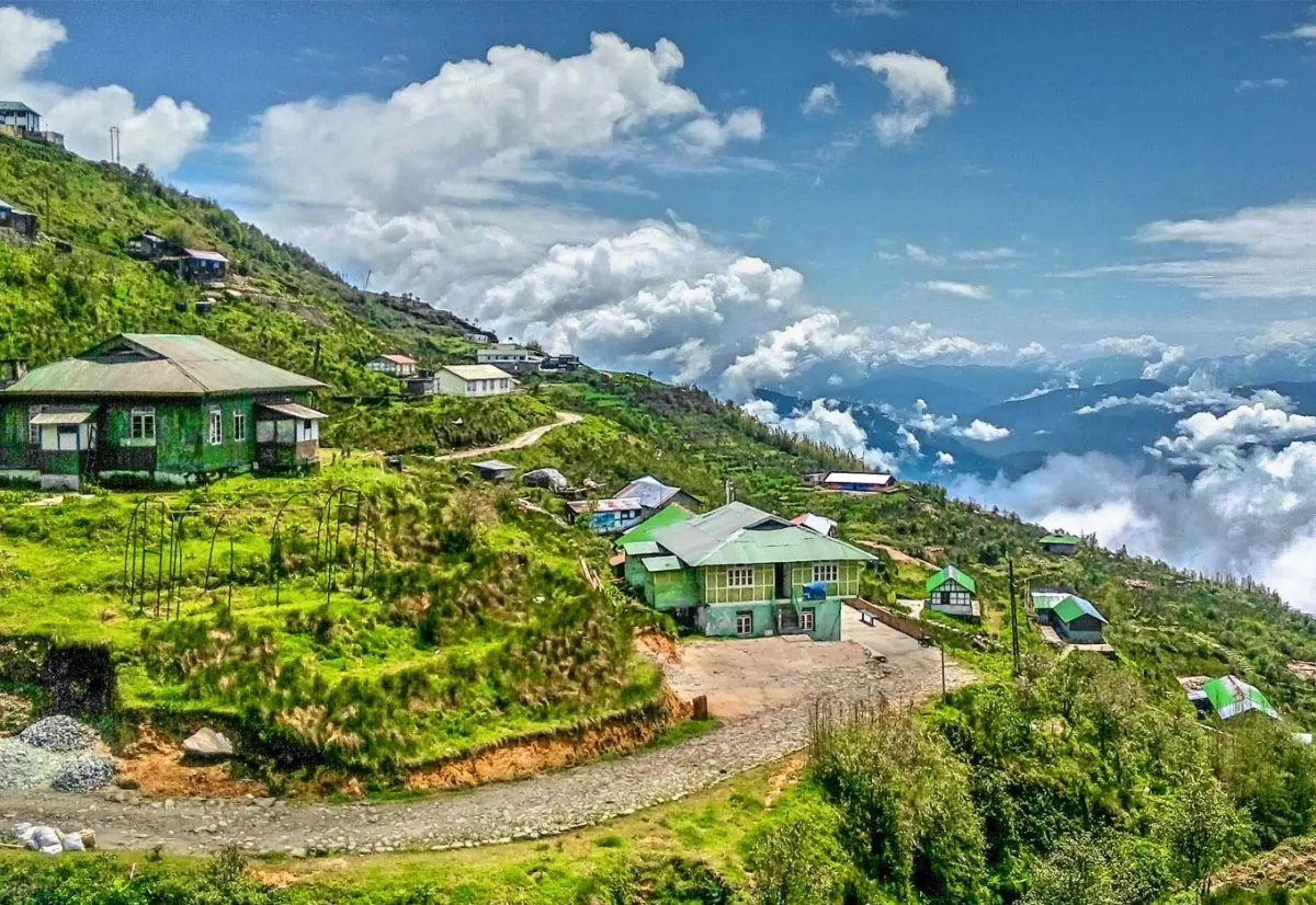 Temi Tea Garden