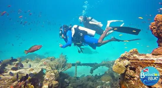 Shipwreck Point Bangaram