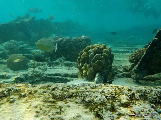 Shipwreck Point Bangaram