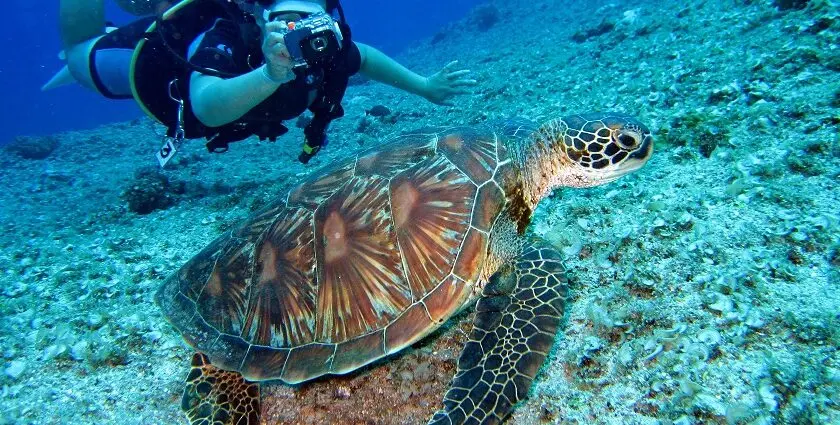 Dive Center Kadmat