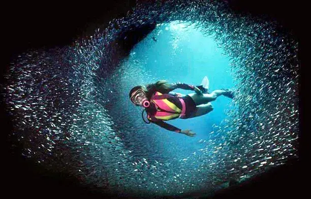 Scuba Diving Kadmat