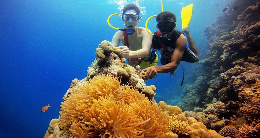 Scuba Diving Kadmat