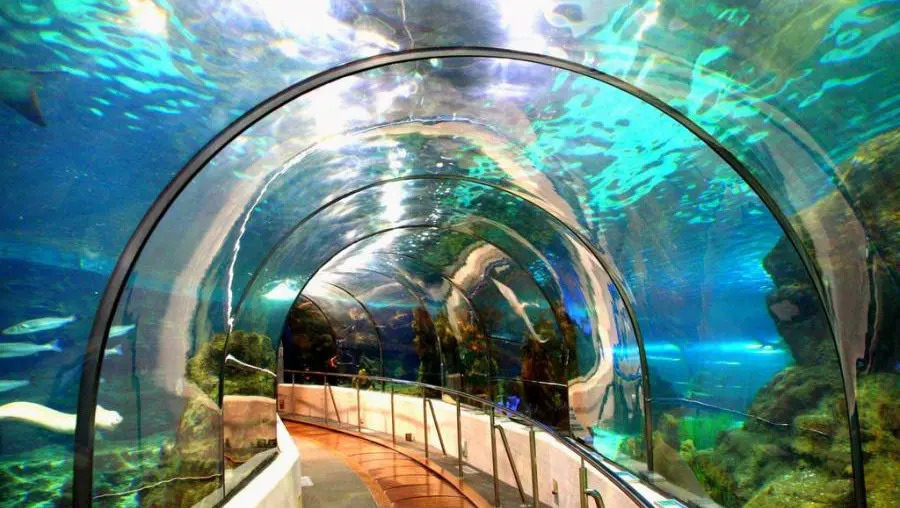 Marine Aquarium