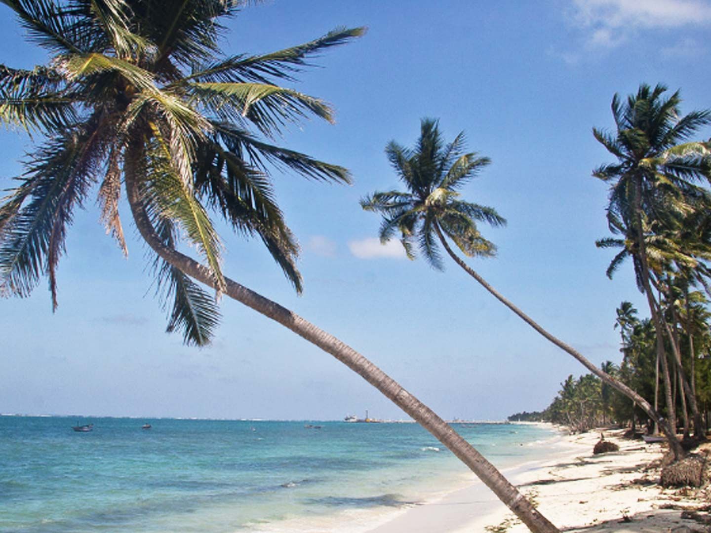 Parali I Island