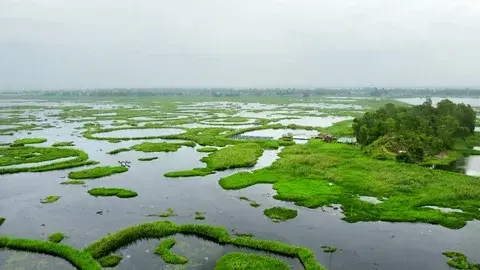 Loktak Lake