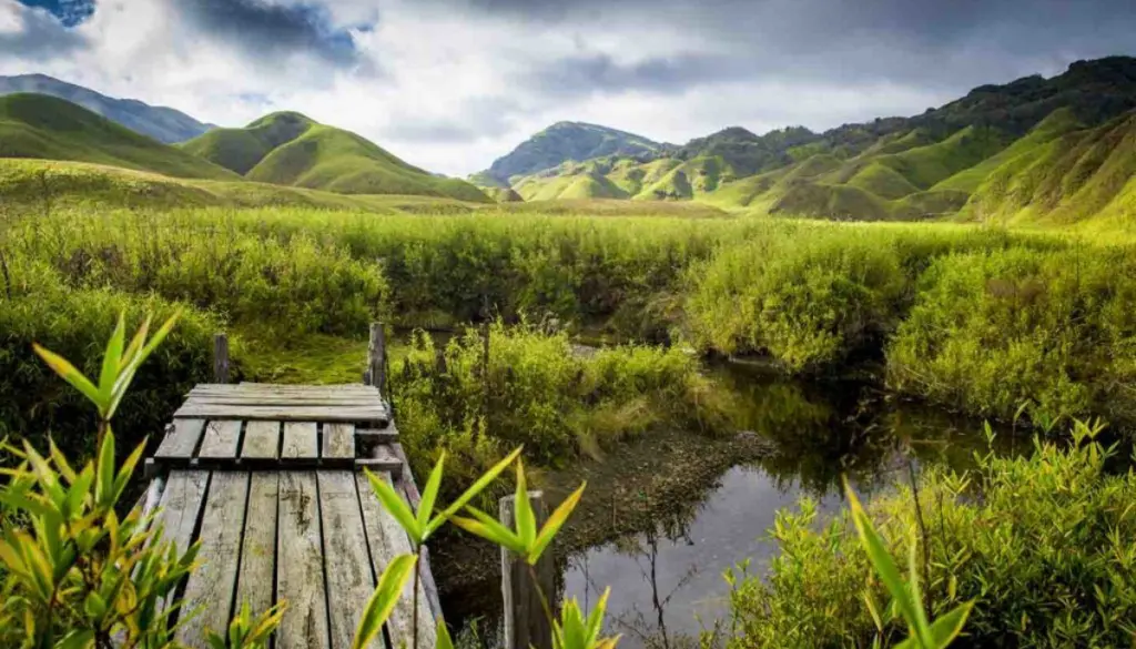 Dzüko/Dzukou Valley (Manipur approach)