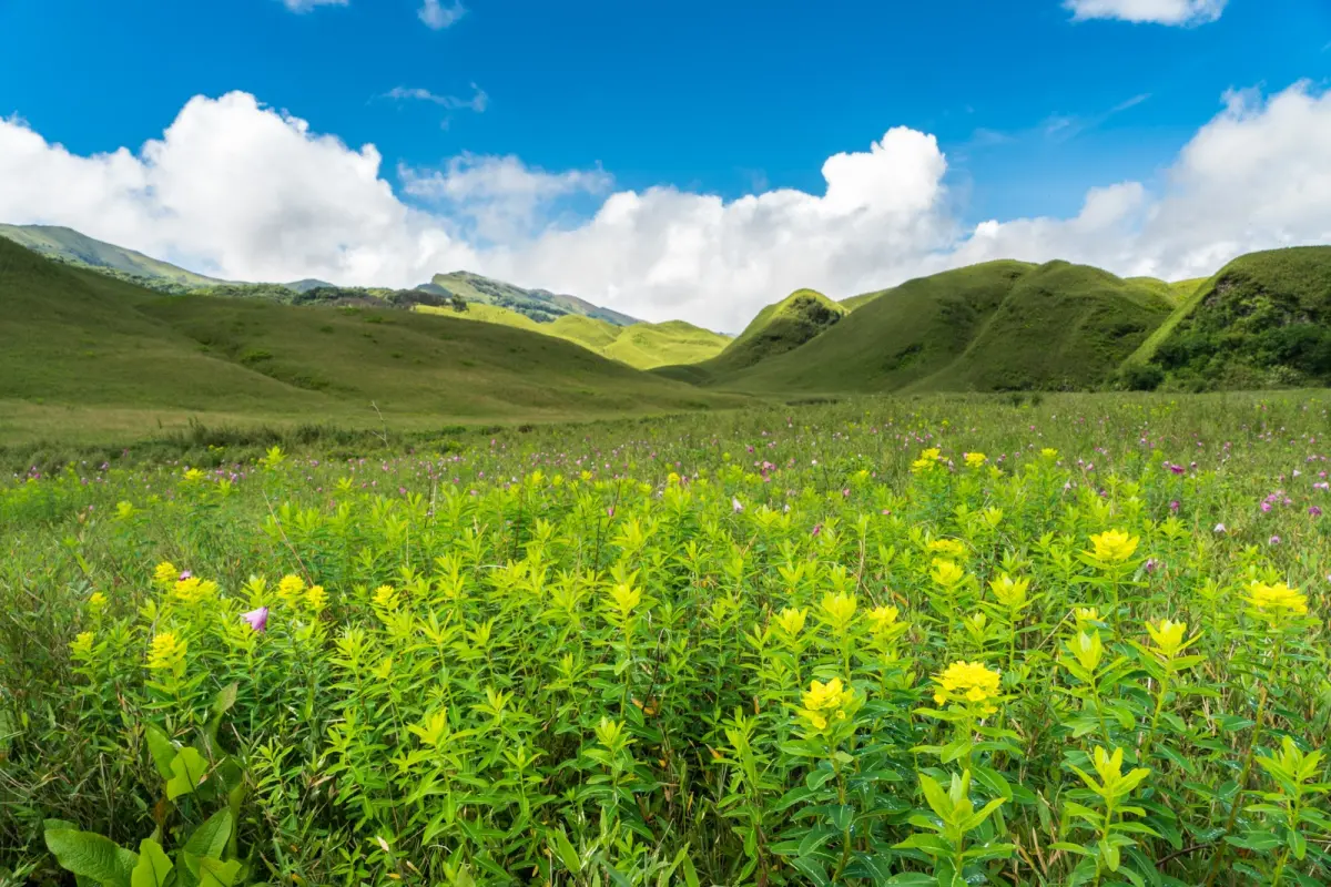 Dzüko/Dzukou Valley (Manipur approach)