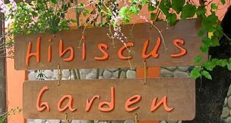 Hibiscus Garden (Sector 36)