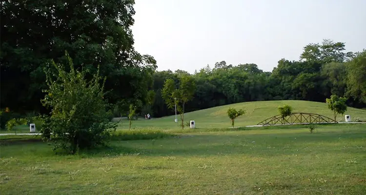 Hibiscus Garden (Sector 36)