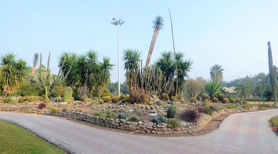 Cactus Garden (Chandigarh)