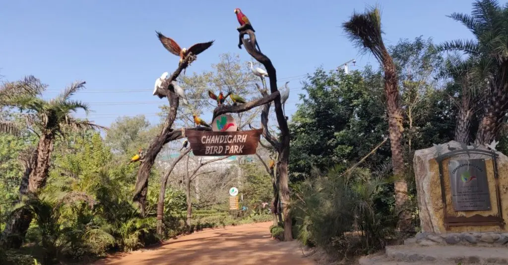 Bird Park Chandigarh