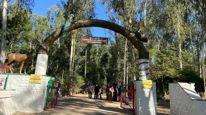 Nepli & Kansal Forests