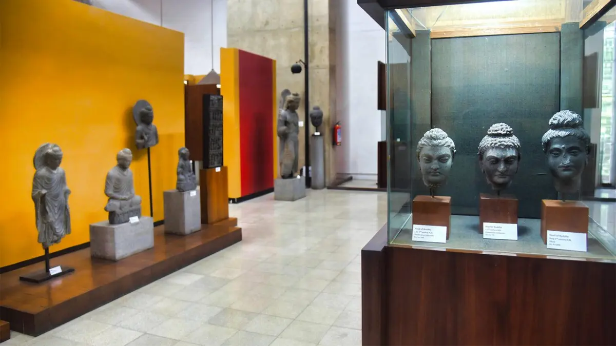 Sector 10 Museum Plaza