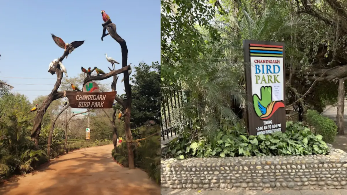 City Birding Spots (Sukhna belt)