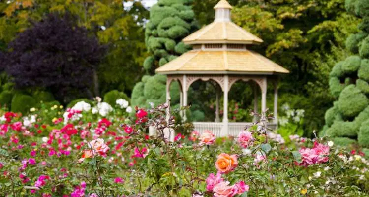 Rose Garden, Phase 3B2 (Neighbourhood)