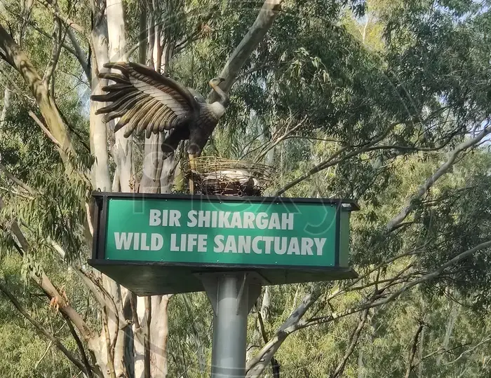 Bir Shikargah Wildlife Sanctuary (Near Pinjore)