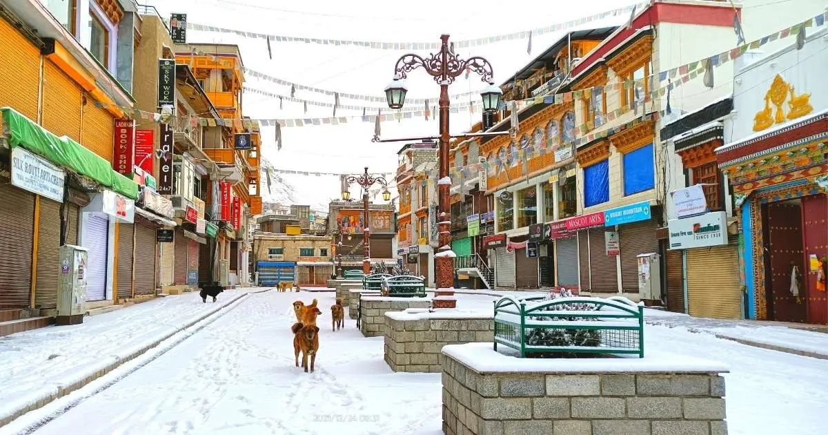 Leh Market