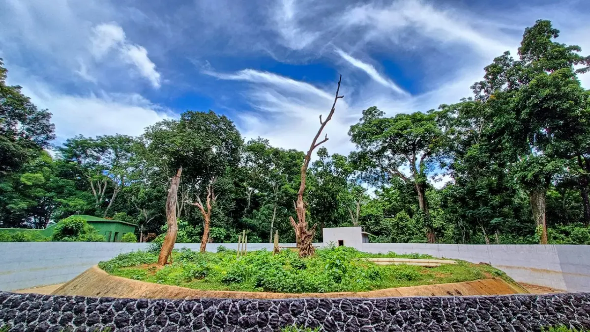 Botanical Garden (Sepahijala Sanctuary)
