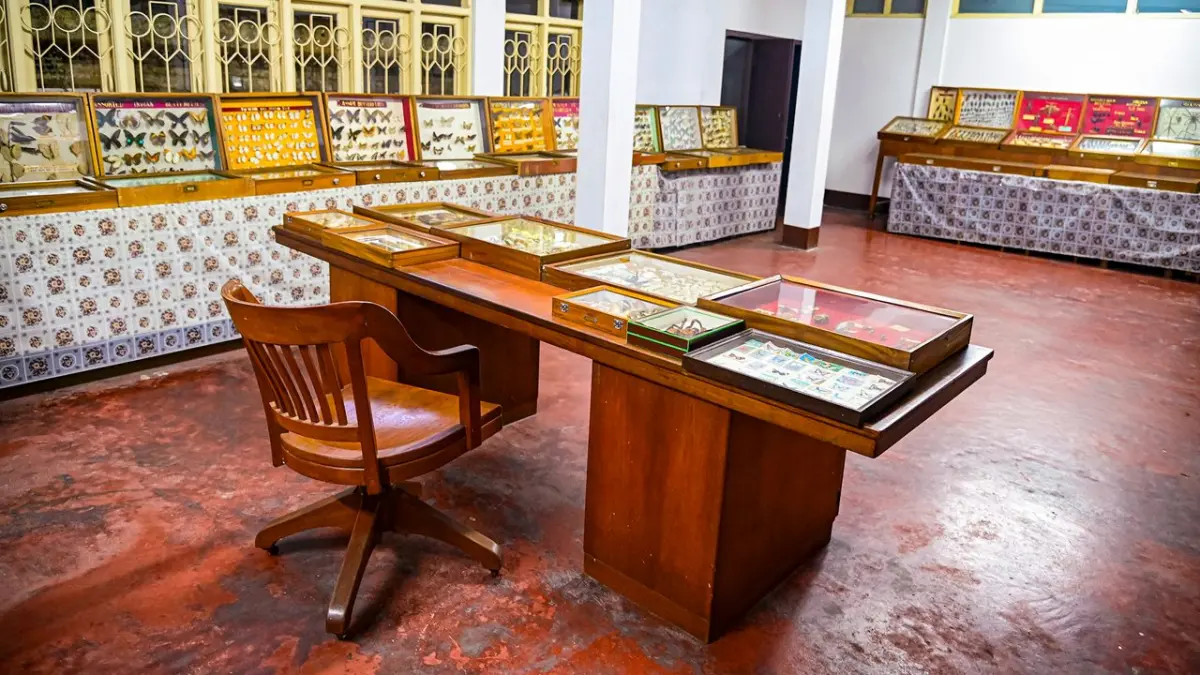 Wankhar Entomology Museum
