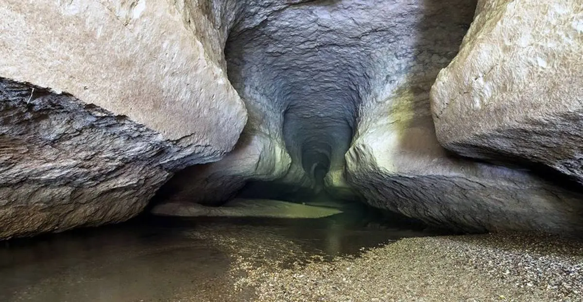 Siju Cave (Bat Cave)