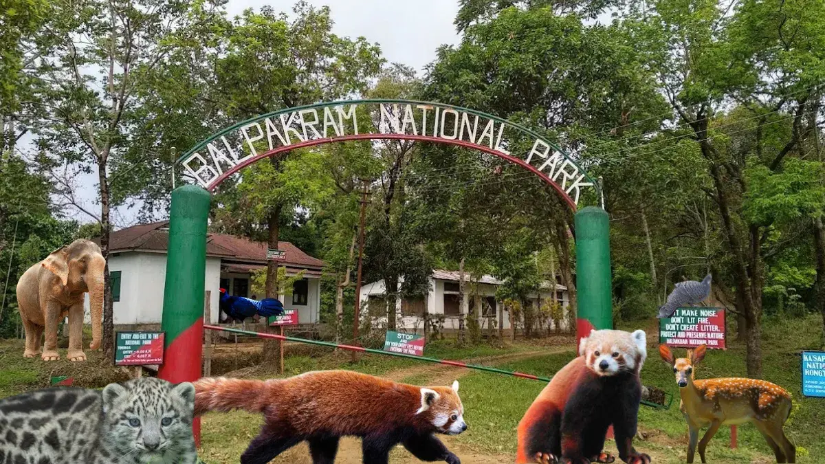 Balpakram National Park